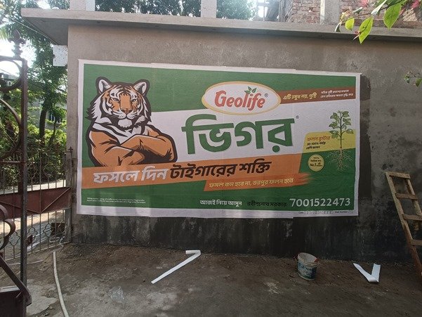 Outdoor Wall Painting & Murals